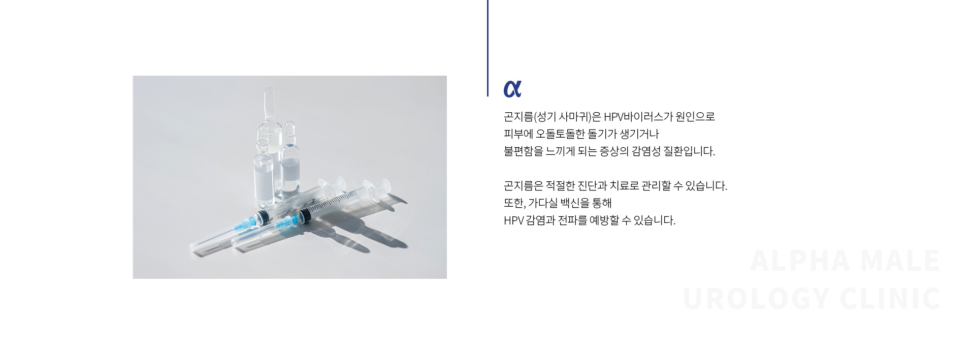 곤지름제거가다실 02