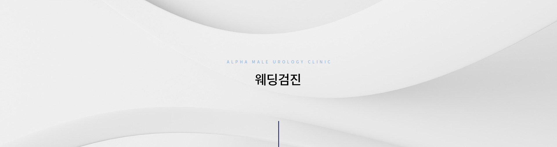 웨딩검진 키비주얼