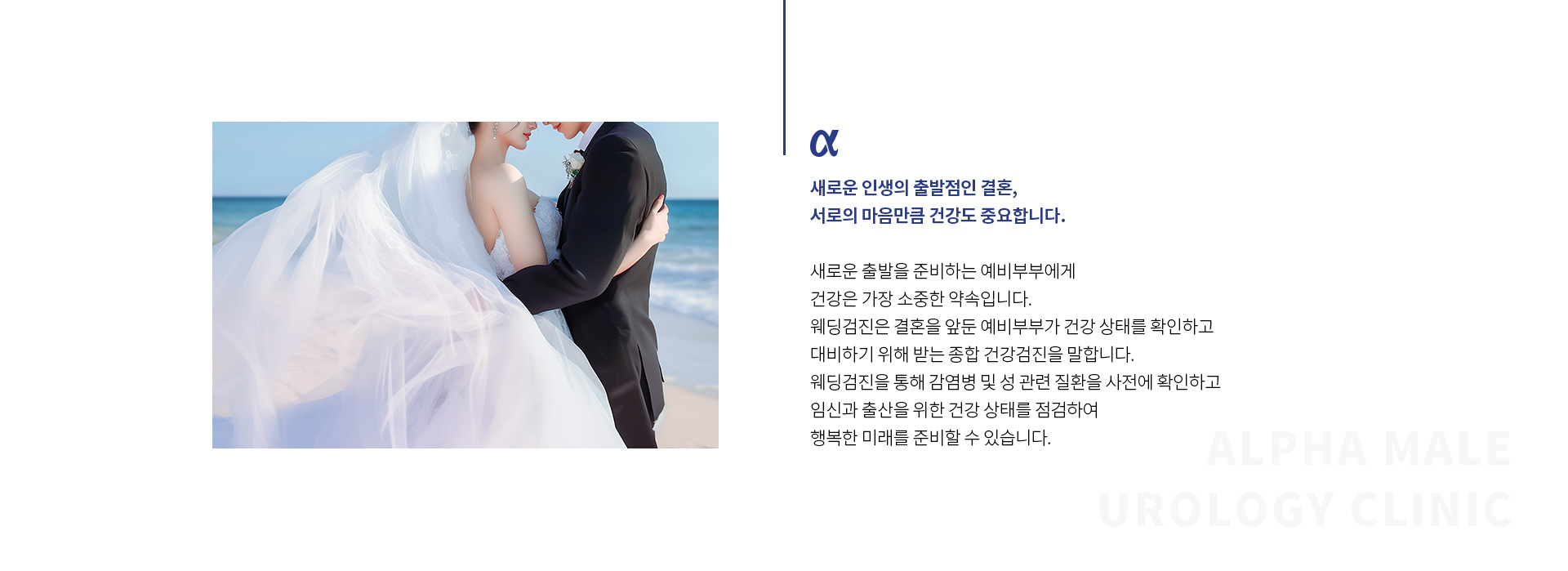 웨딩검진 02